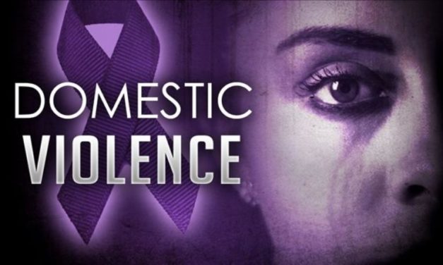 Solutions to End Domestic Violence