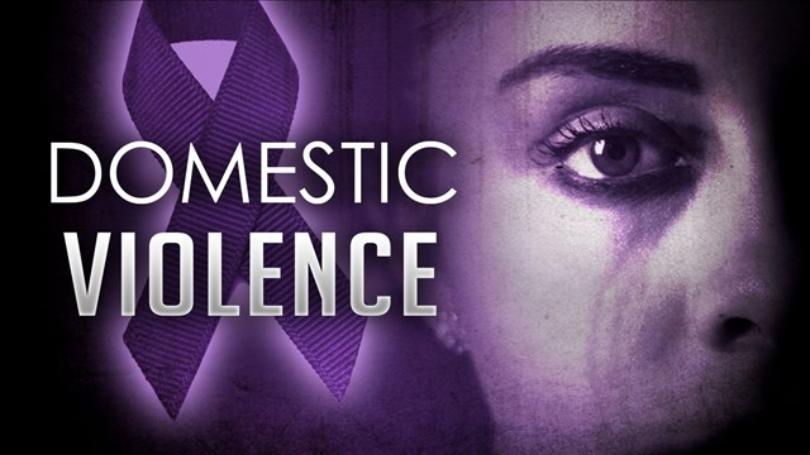 Solutions to End Domestic Violence