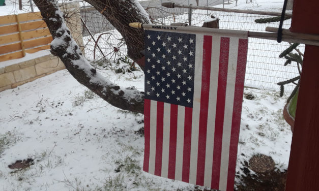 Bonitas Y Destructivas Nevadas En San Antonio Y El Estado De Texas