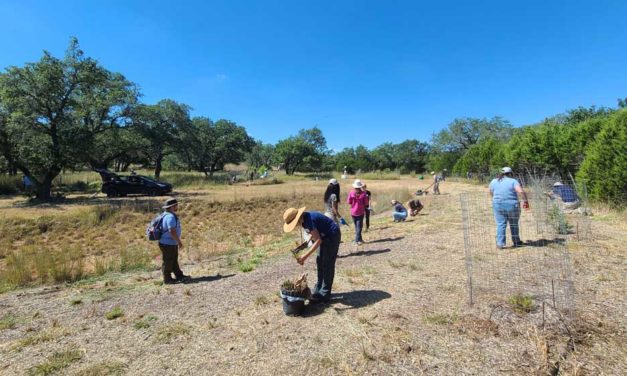 Edwards Aquifer Research Field Park Hosts Volunteers on National Public Lands Day