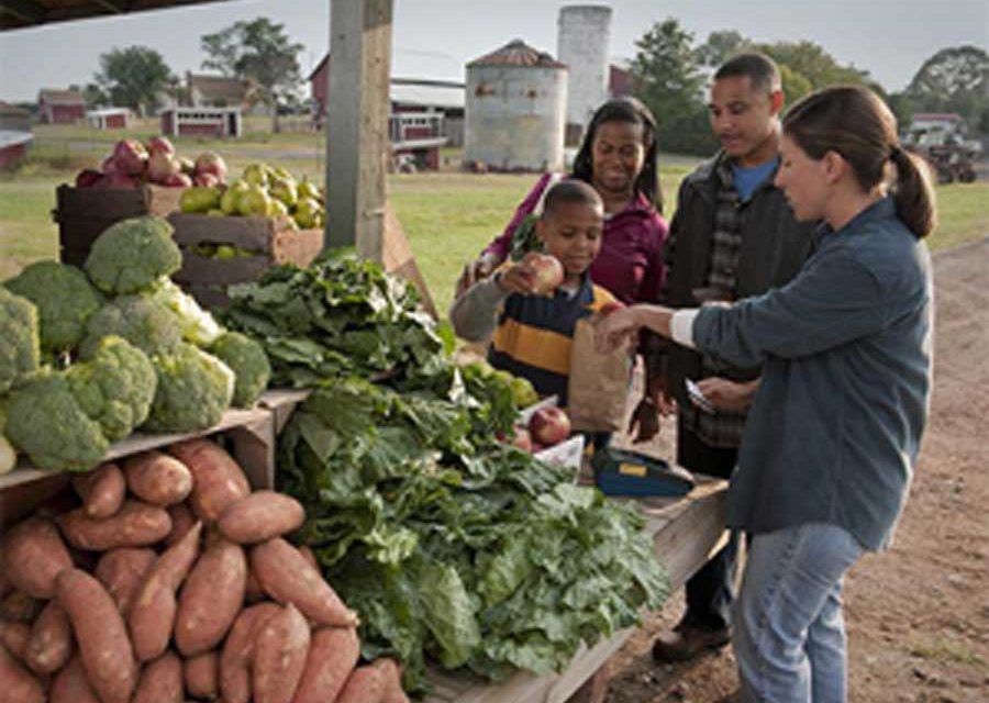 New Farmers Market Program Expands Access To Fresh, Local Food