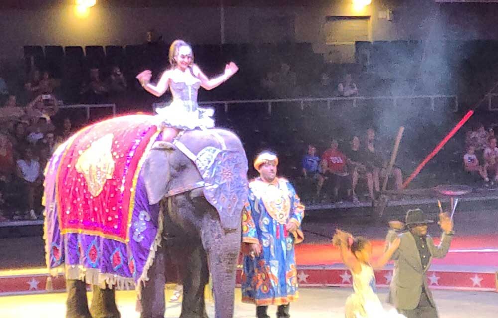 Carden  International Circus