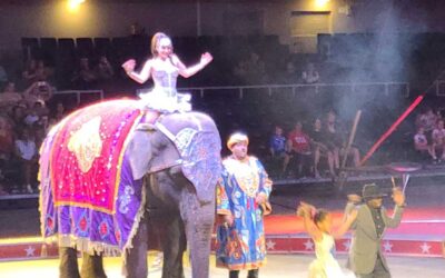 Carden  International Circus