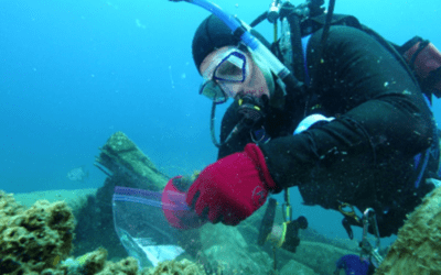 Carbon Capture Study At The Largest Artificial Reef Pushes Past Half-Way Mark, Early Data Is Promising