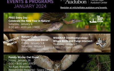 January Events at Mitchell Lake Audubon Center