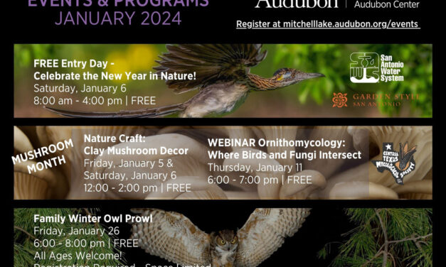 January Events at Mitchell Lake Audubon Center