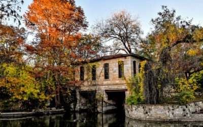 Join Brackenridge Park Conservancy and River Aid San Antonio for the 29th Annual Basura Bash on Saturday, February 17