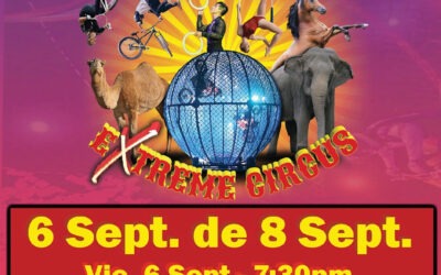 Carden International Circus Comes to Town