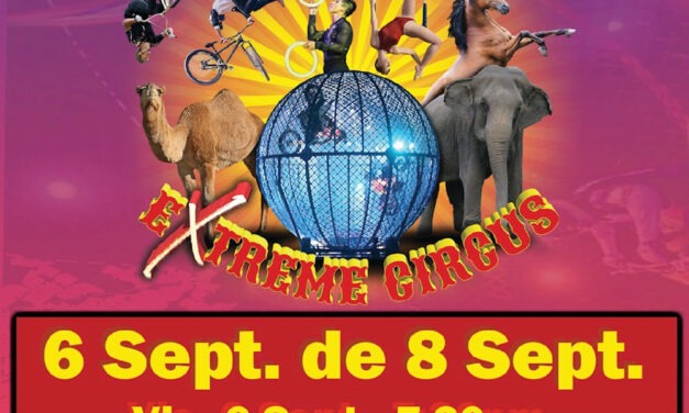 Carden International Circus Comes to Town