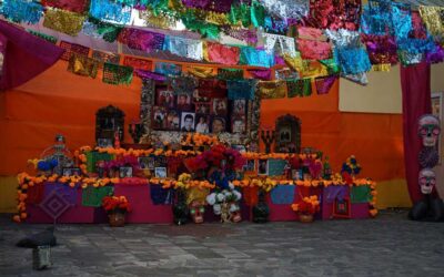 The Day of the Dead  Has Risen to Great Acclaim