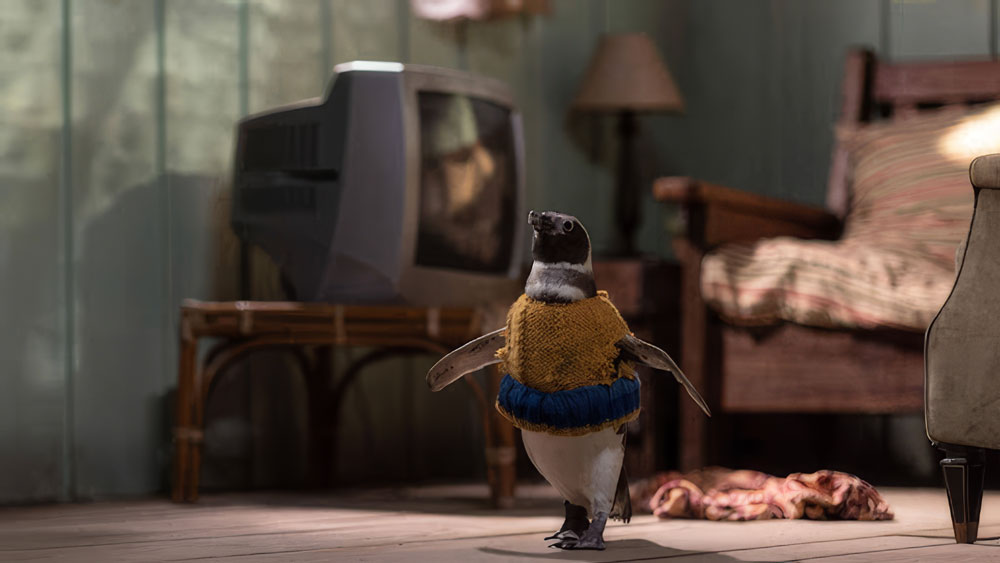 My Penguin Friend: A Heartwarming Tale of Friendship and Adventure Hits Screens This October!!