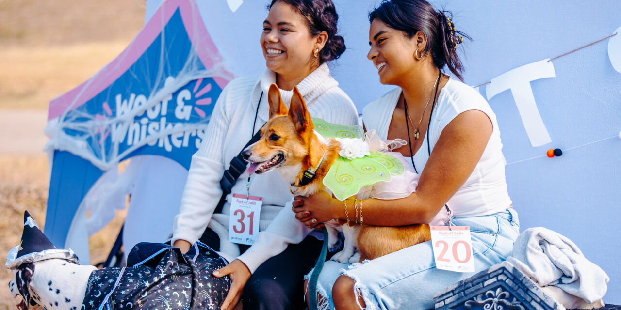 Fly High and Wag Those Tails! The SA  Parks Foundation Presents Fest of Tails